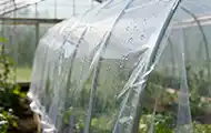 Anti-fog drip greenhouse film