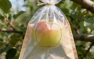 Fruit protective bags