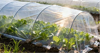 Agricultural & Horticultural